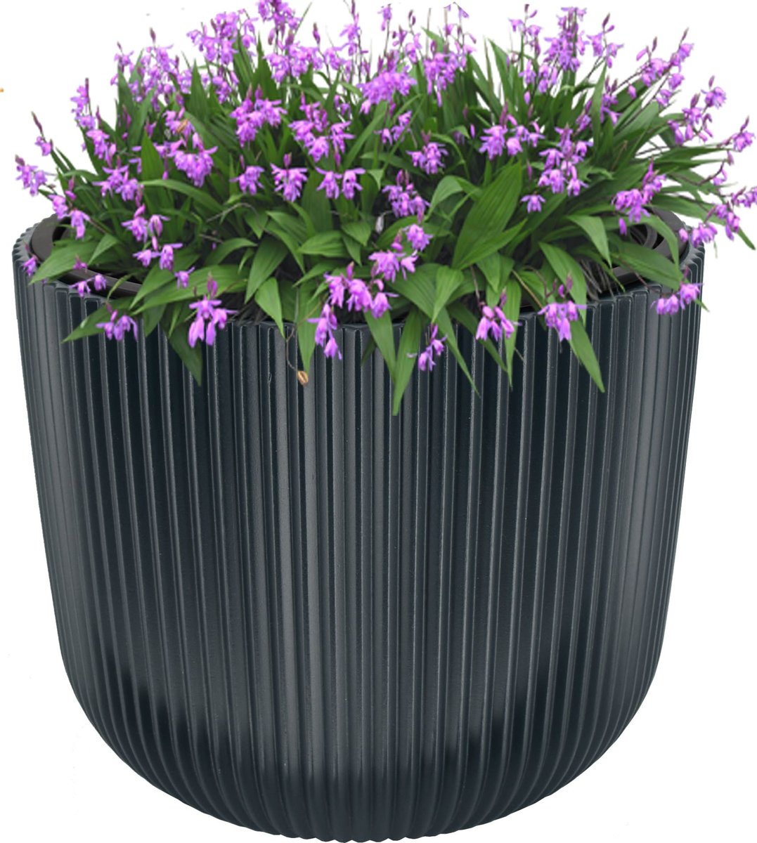 DONICA DONICZKA MILLY ANTRACYT +WKŁAD Ø24cm