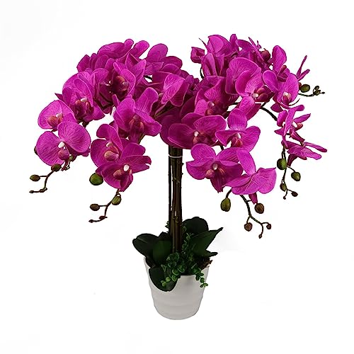 Leaf Design UK Realistyczny sztuczny kwiat orchidei ekspozycja w doniczce