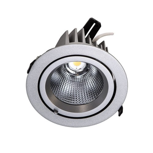 Italux Lampa Led dosufitowa ruchoma Srebrny DW-305/SV-WW/20