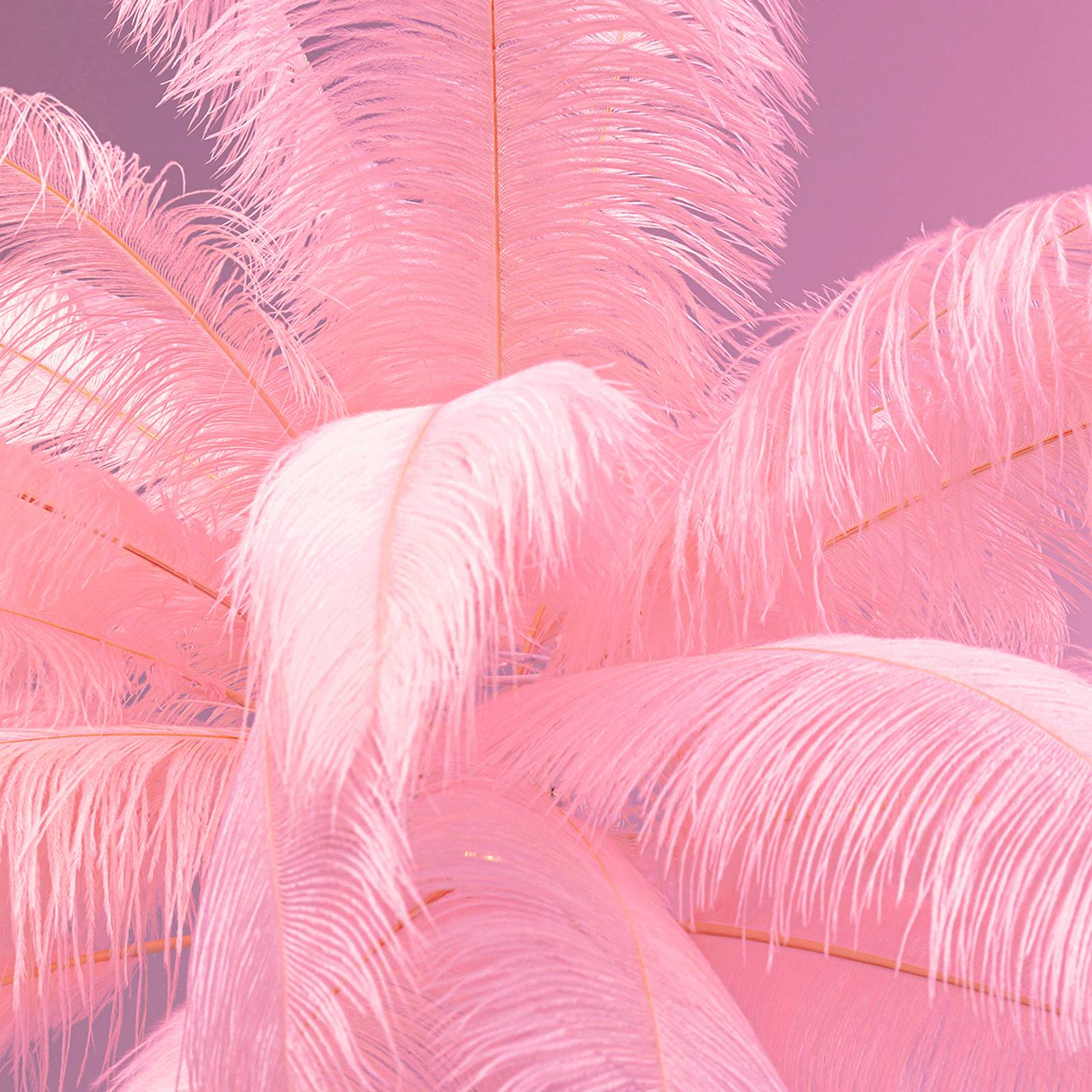 KARE Feather Palm lampa stojąca z piórami, różowa