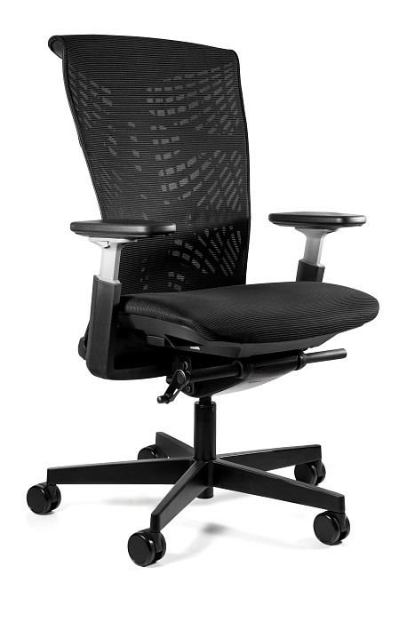 Fotel ergonomiczny, biurowy, mikrosiatka, Reya, czarny