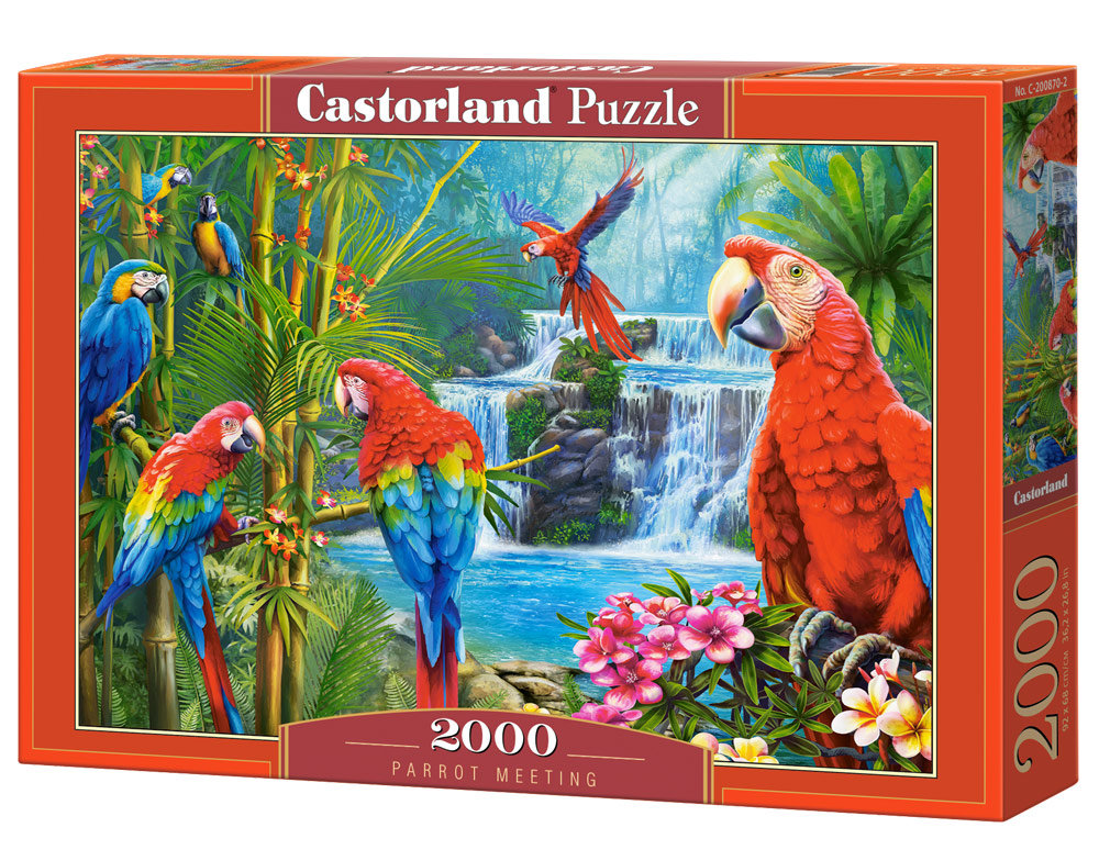 puzzle 2000 el. parrot meeting