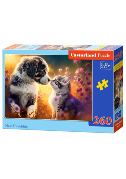 Puzzle 260 New Friendship CASTOR