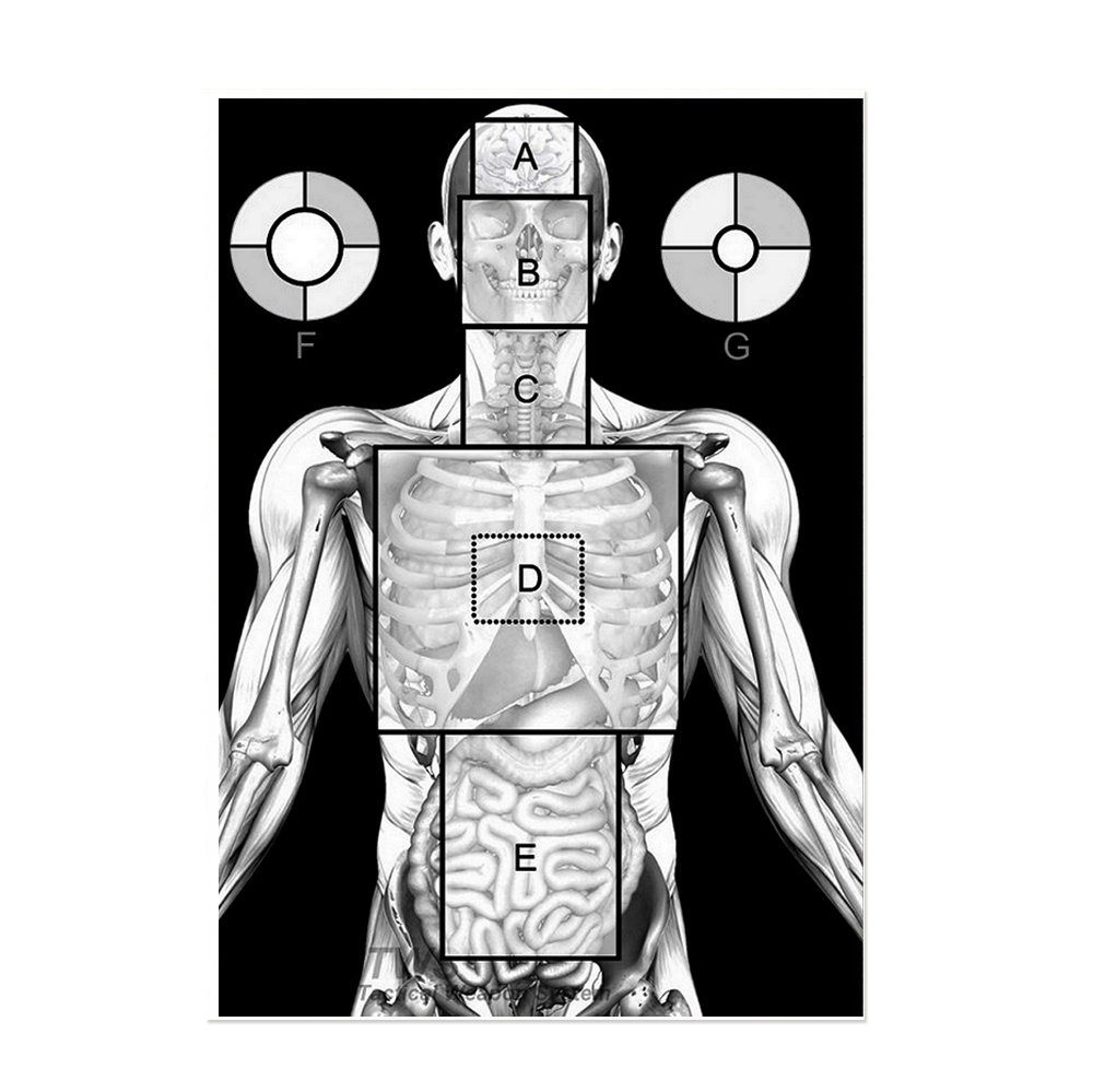 Tactical Weapon System - Tarcza strzelecka sylwetkowa TWS 1C