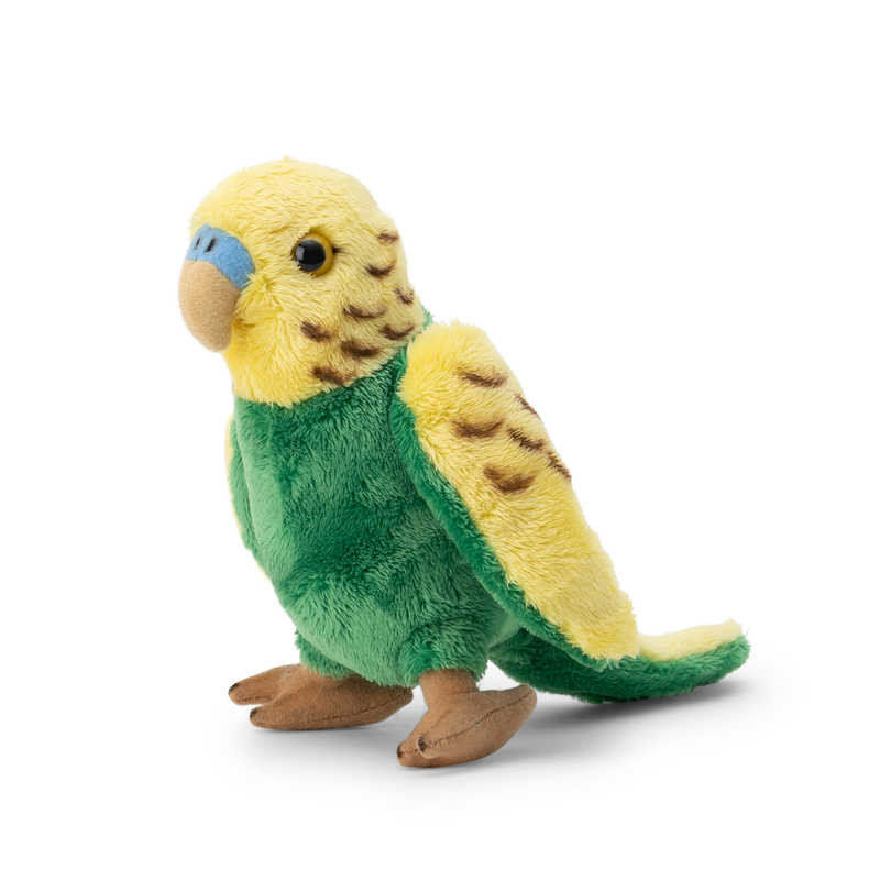 Maskotka Papuga