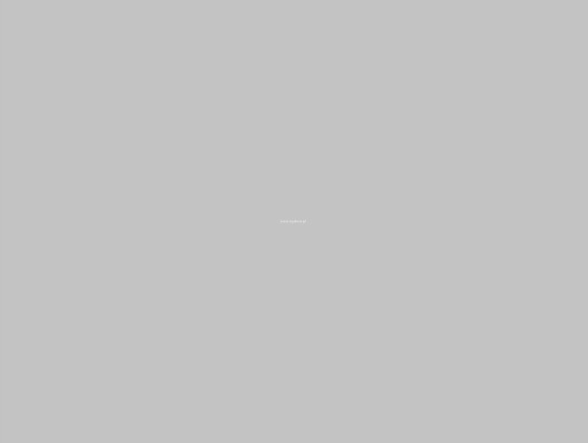 Protos Papier ksero szary A4 160g 50 arkuszy PROT0227