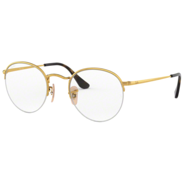 Ray-Ban® 3947V 2500 51 Round Gaze