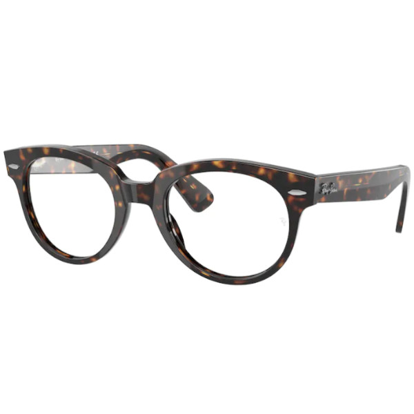Ray-Ban® 2199V 2012 48