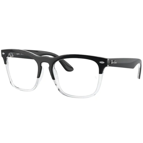 Ray-Ban® 4487V 8193 51 STEVE