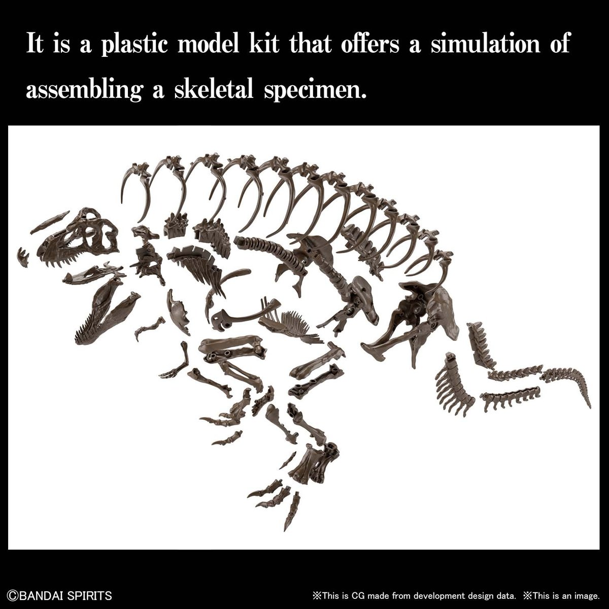 Bandai Model Kit Hobby - Imaginary Skeleton - 1/32 Imaginary Skeleton Tyrannosaurus 2569327