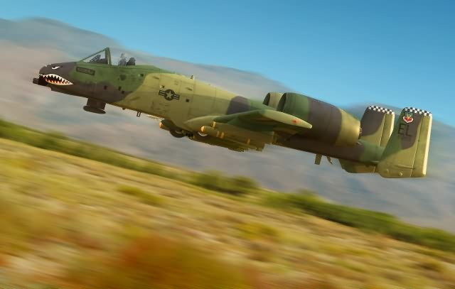 Hobby Boss, Samolot A-10A Thunder bolt II 1/48