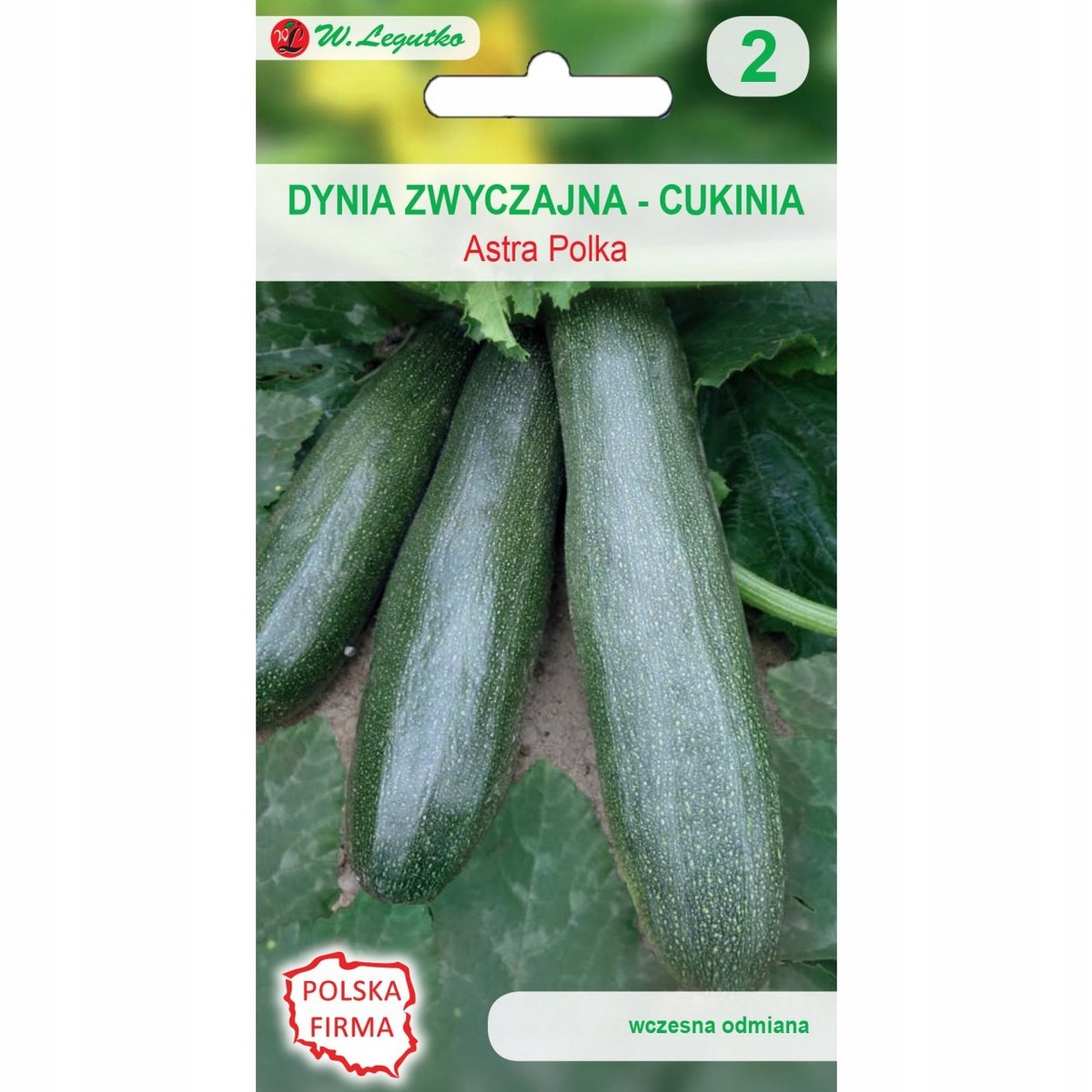 Legutko Dynia zwyczajna (Cukinia) ASTRA POLKA