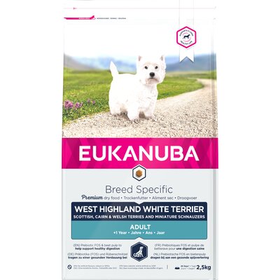 Adult West Highland White Terrier 2,5kg