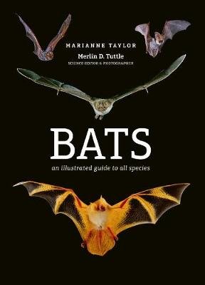 Marianne Taylor Bats