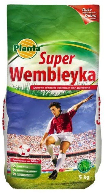 Planta Trawa boiskowa Super Wembleyka 5 kg