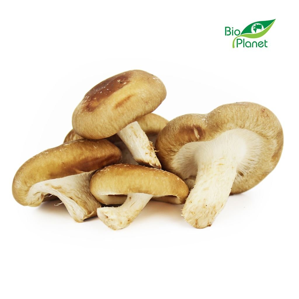 ŚWIEŻE (owoce, warzywa, grzyby) - tacki i sztuki Grzyby shiitake świeże BIO (polska) (około 0,20 kg) - 1 opakowanie BP-5904730469012