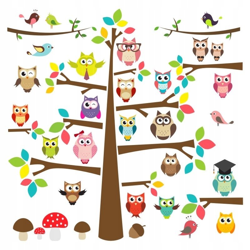 Naklejki na ścianę dla dzieci zestaw Sowy, Sówki 2, 60x60 cm