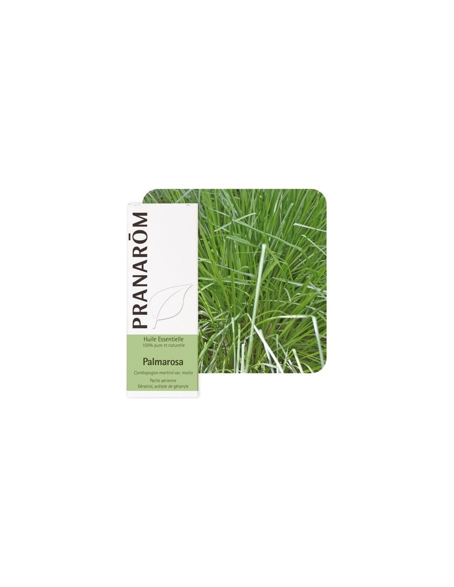 Olejek eteryczny **Palmaroza / Palmarosa / Palczatka imbirowa / Cymbopogon martini var. motial** 10ml*PRANARÔM*BIO
