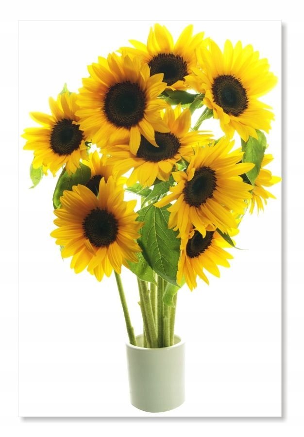 Naklejka z kwiatami kwiatki 50cm - Słonecznik 2, 50x33 cm