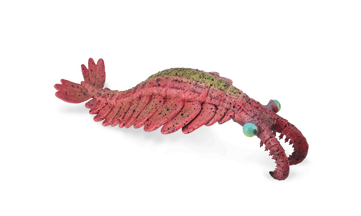 Collecta, figurka kolekcjonerska, Anomalocaris
