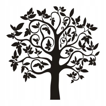 Naklejka na ścianę z drzewem oliwki Drzewko oliwne, 160x160 cm