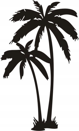 Naklejka na ścianę palma tropikalna drzewa Palmy, 76x46 cm