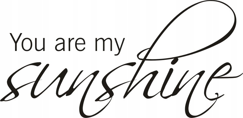 Napis na ścianę naklejka You are my sunshine - 106, 240x120 cm