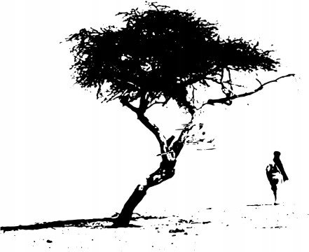 Naklejka na ścianę mat pustynne Drzewo z beduinem, 147x120 cm