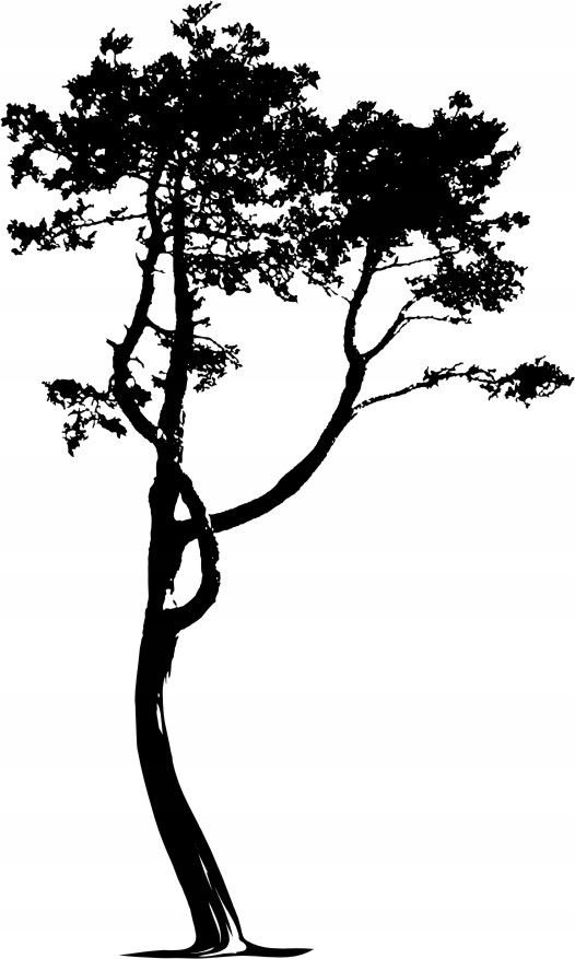 Naklejka na ścianę ścienna 2 metrowe Drzewo DRX-26, 200x120 cm