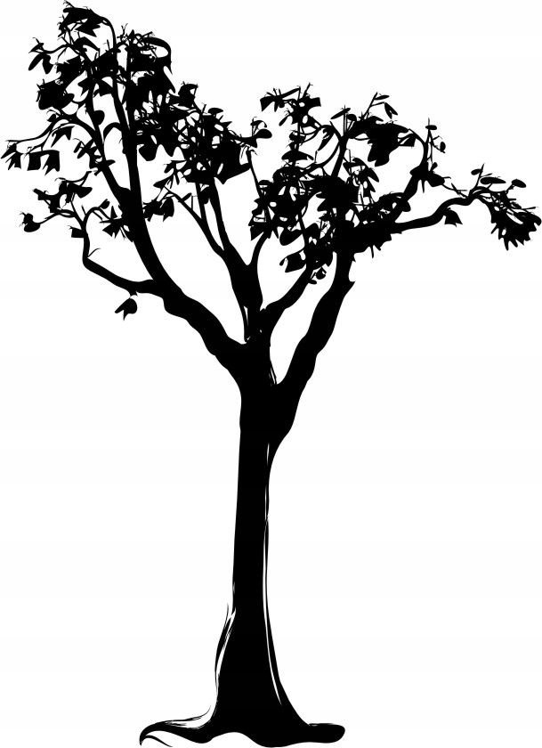 Naklejka na ścianę ścienna 2 metrowe Drzewo DRX-42, 200x120 cm