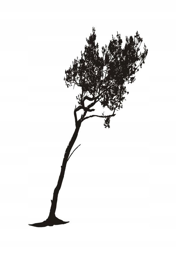 Naklejka na ścianę ścienna 2 metrowe Drzewo DRX-40, 200x120 cm