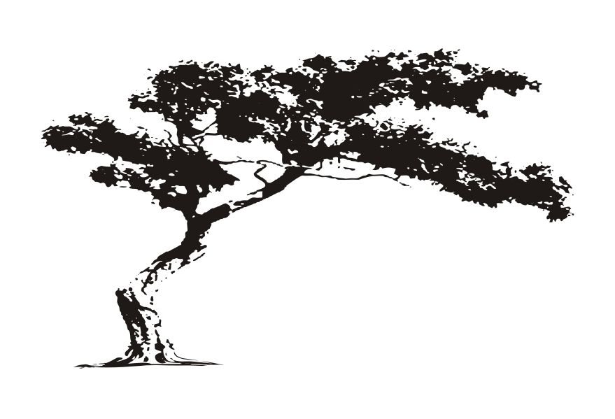 Naklejka na ścianę duże 200cm Drzewo DRX-4, 200x120 cm