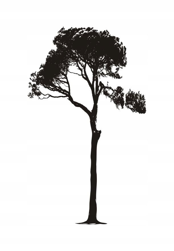 Naklejka na ścianę ścienna 2 metrowe Drzewo DRX-41, 200x120 cm