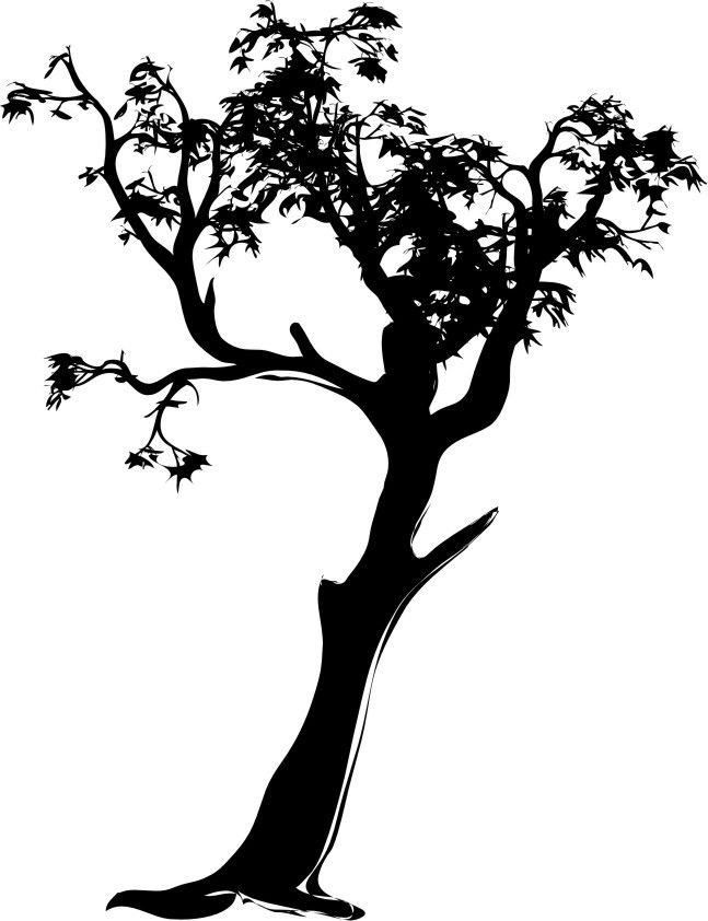 Naklejka na ścianę duże Drzewo 200 cm DRX-13, 200x120 cm