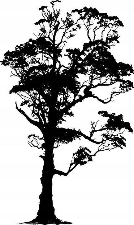 Naklejka na ścianę ścienna 2 metrowe Drzewo DRX-89, 200x120 cm