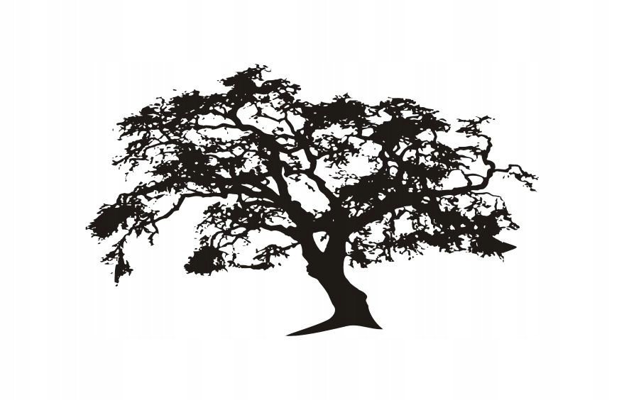 Naklejka na ścianę duże Drzewo 200 cm DRX-18, 200x120 cm