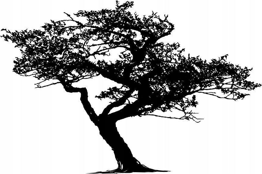 Naklejka na ścianę ścienna 2 metrowe Drzewo DRX-38, 200x120 cm