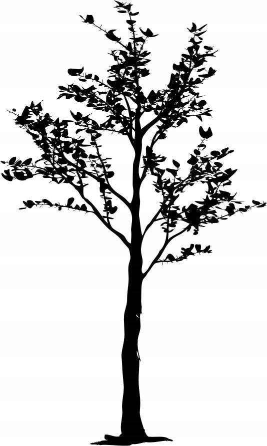 Naklejka na ścianę ścienna 2 metrowe Drzewo DRX-87, 200x120 cm