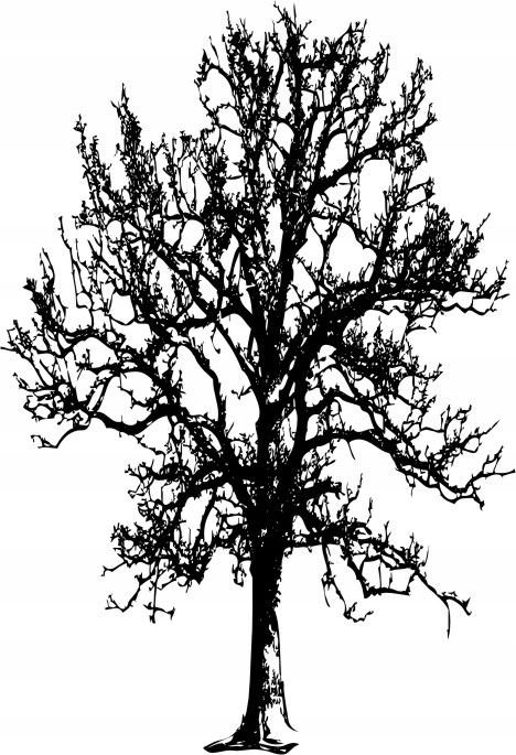 Naklejka na ścianę ścienna 2 metrowe Drzewo DRX-98, 200x120 cm