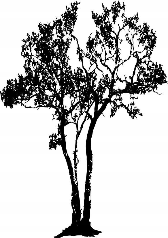 Naklejka na ścianę ścienna 2 metrowe Drzewo DRX-27, 200x120 cm