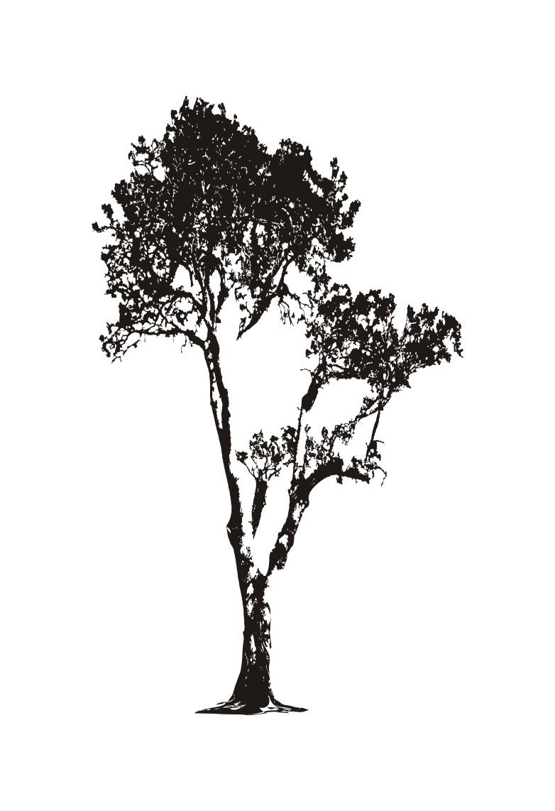 Naklejka na ścianę duże Drzewo 200 cm DRX-17, 200x120 cm