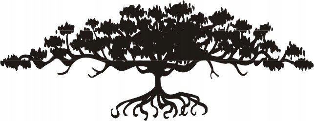 Naklejka na ścianę drzewo bonzai Drzewko bonsai, 100x38 cm