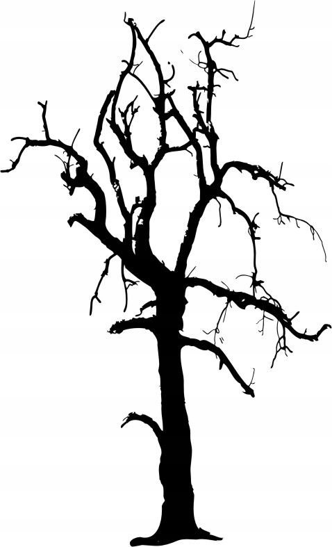 Naklejka na ścianę ścienna 2 metrowe Drzewo DRX-72, 200x120 cm