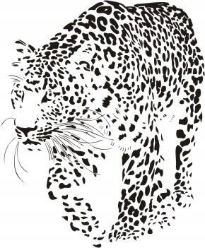 Naklejka na ścianę leopard - Dzikie koty 17, 120x98 cm