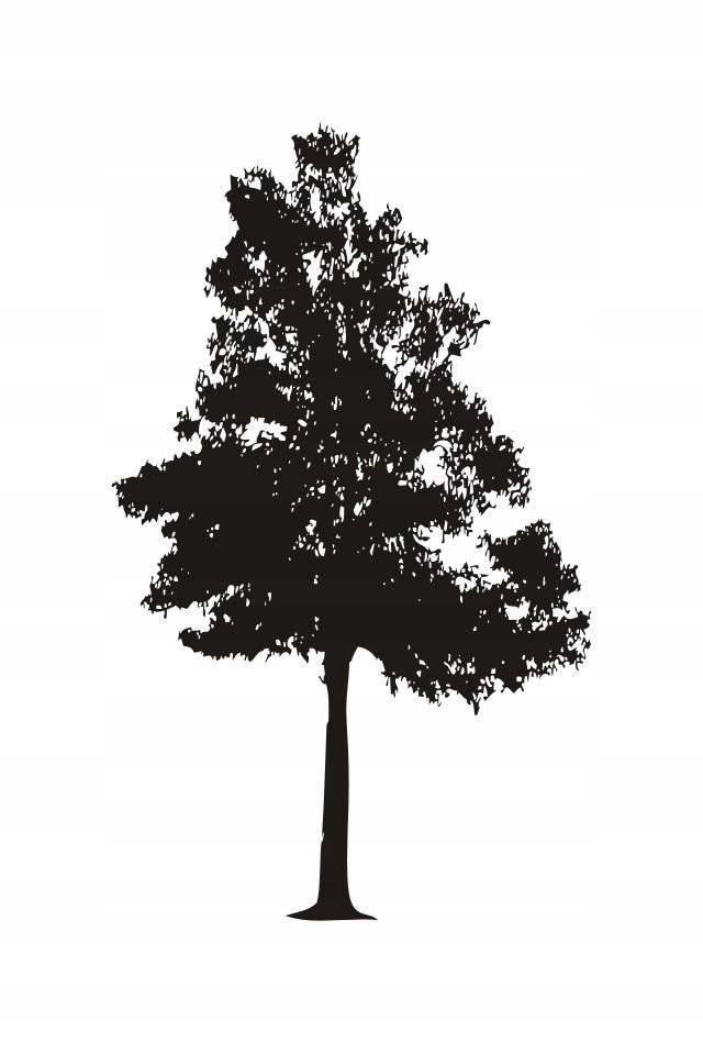 Naklejka na ścianę duże Drzewo 200 cm DRX-19, 200x120 cm