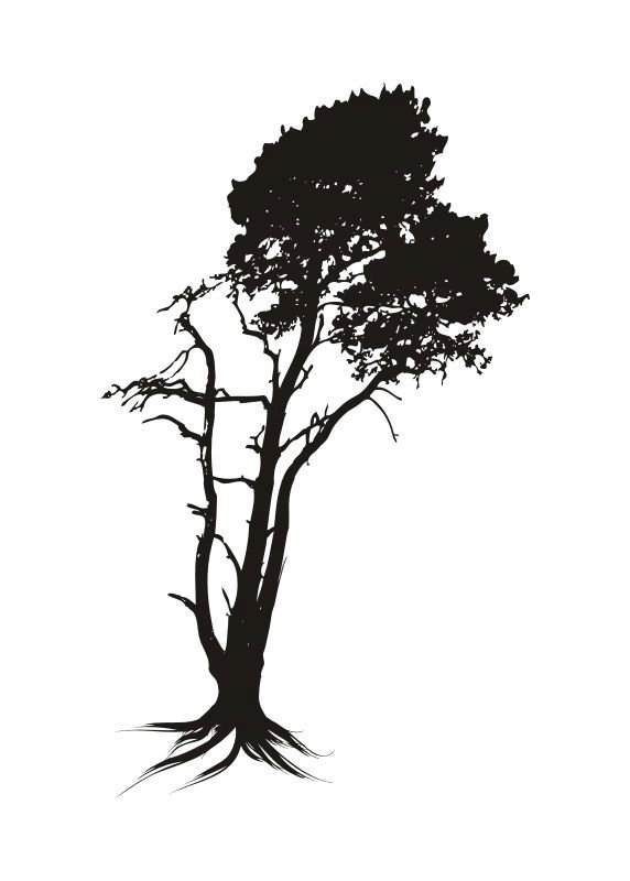 Naklejka na ścianę ścienna 2 metrowe Drzewo DRX-53, 200x120 cm