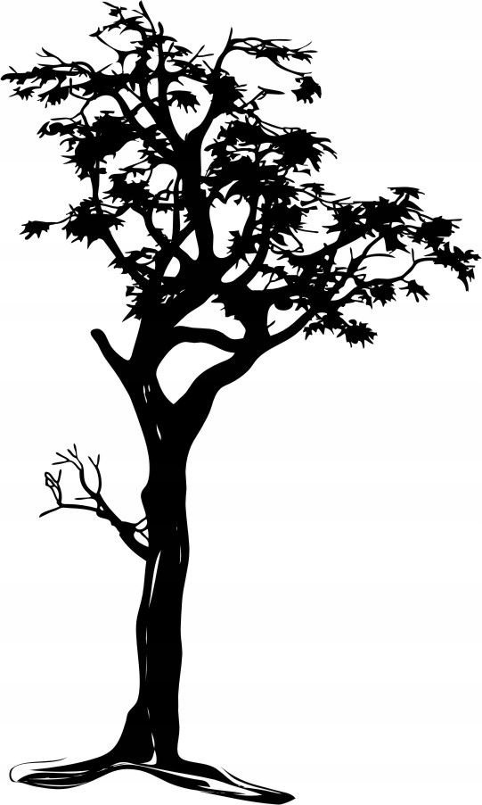 Naklejka na ścianę ścienna 2 metrowe Drzewo DRX-33, 200x120 cm