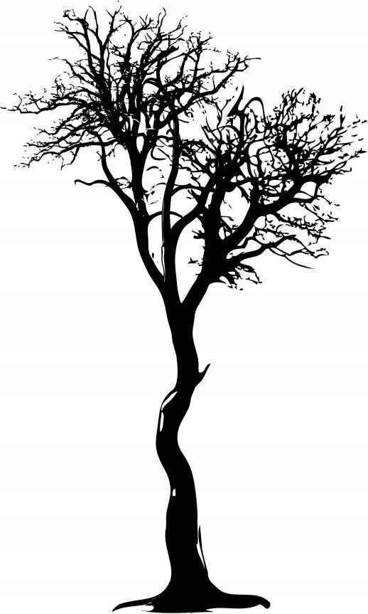 Naklejka na ścianę ścienna 2 metrowe Drzewo DRX-64, 200x120 cm