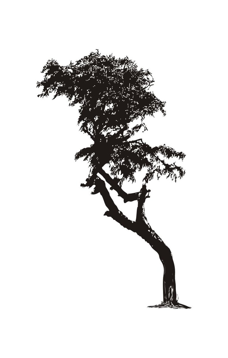 Naklejka na ścianę duże 200cm Drzewo DRX-2, 200x120 cm