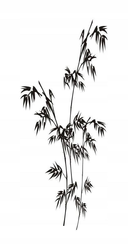 Naklejka na ścianę - Bambus 5, 120x48 cm